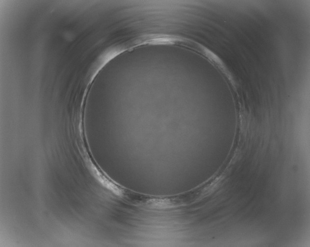 X0000081381194200701182157