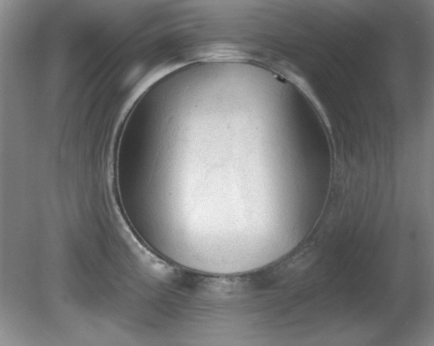 X0000081381195200701182157