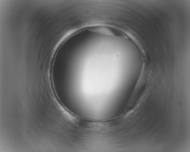 X0000081381197200701182157