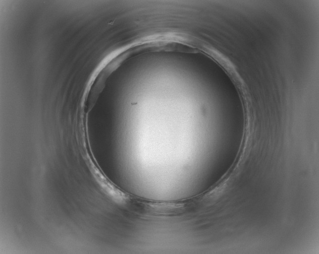 X0000081381200200701182157