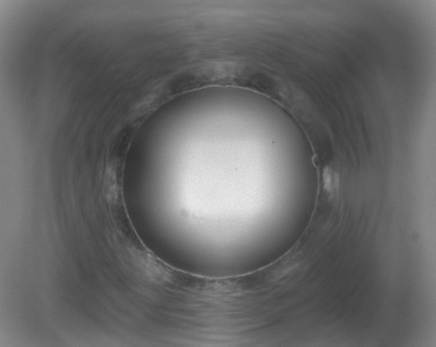 X0000081381203200701182156