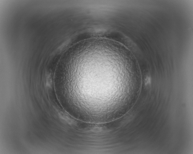 X0000081381204200701182156