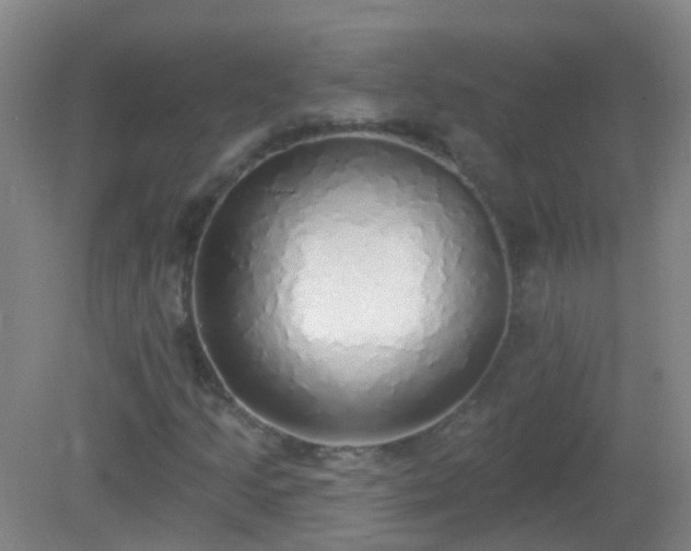 X0000081381205200701182156