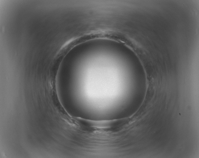 X0000081381206200701182156