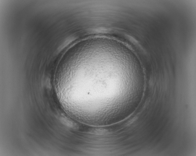 X0000081381209200701182156