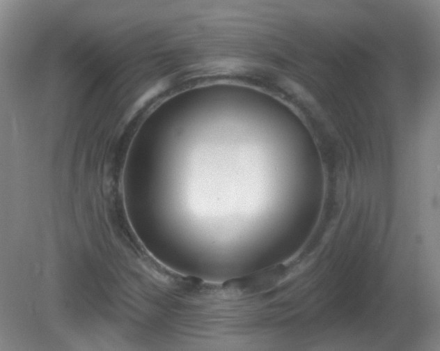 X0000081381210200701182157