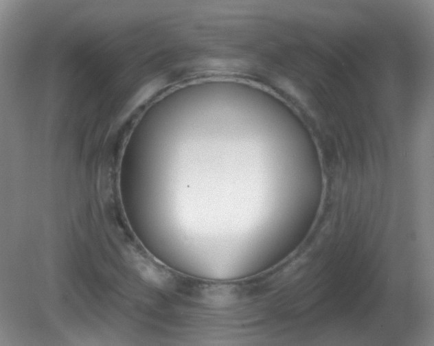 X0000081381211200701182157