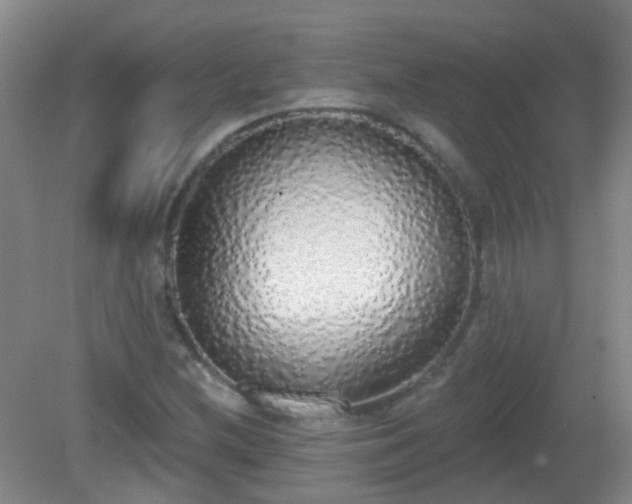 X0000081381212200701182157