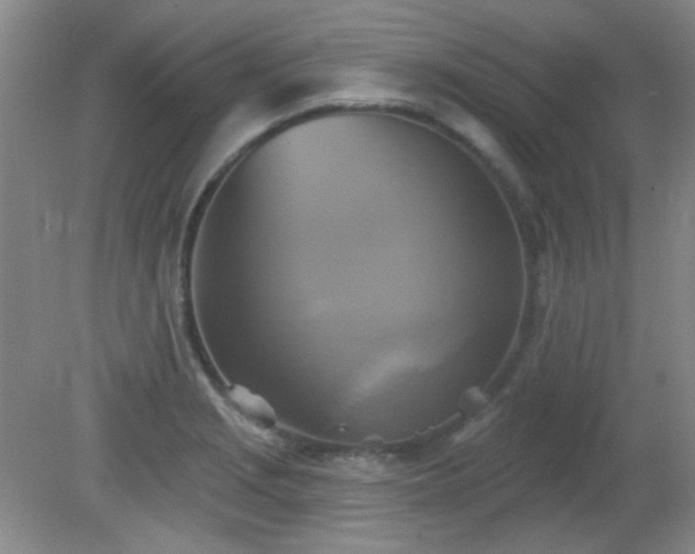 X0000081381229200701182157