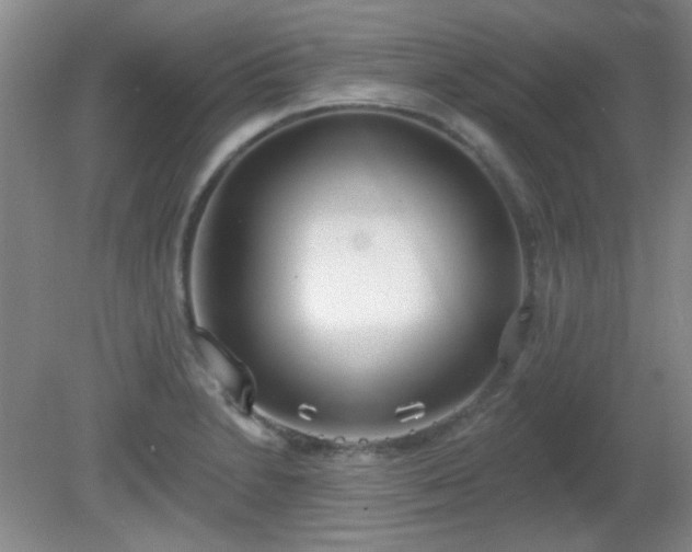 X0000081381230200701182157