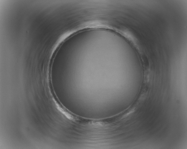 X0000081381231200701182157