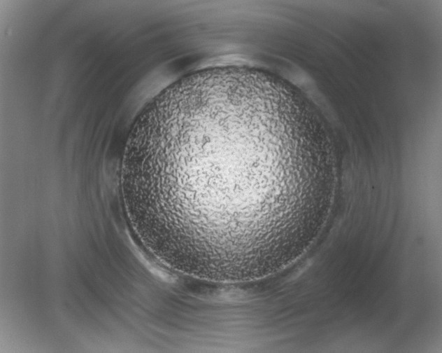 X0000081381233200701182157