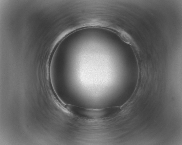 X0000081381238200701182157