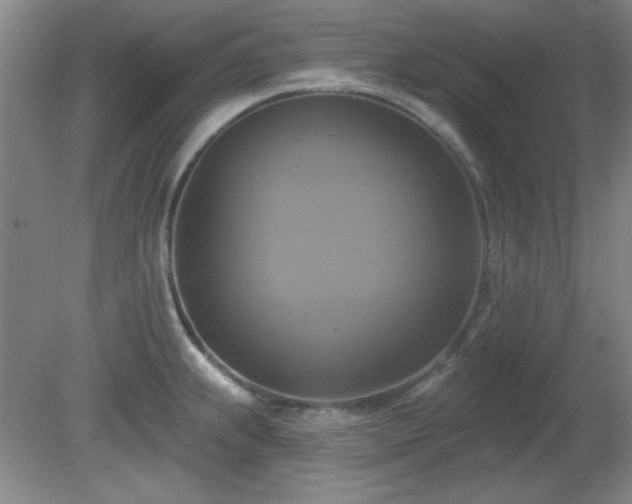 X0000081381239200701182157