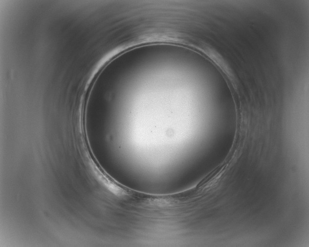 X0000081381246200701182157