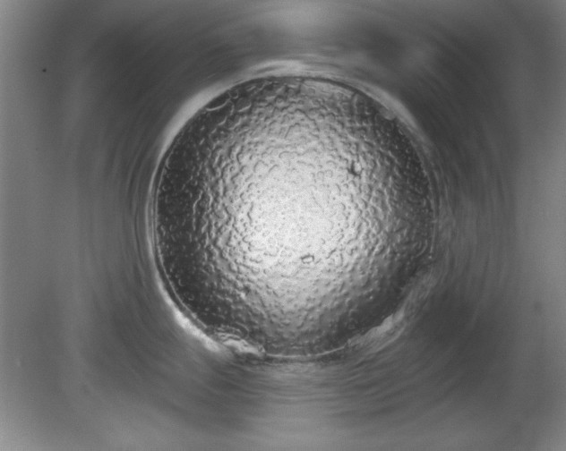 X0000081381247200701182157