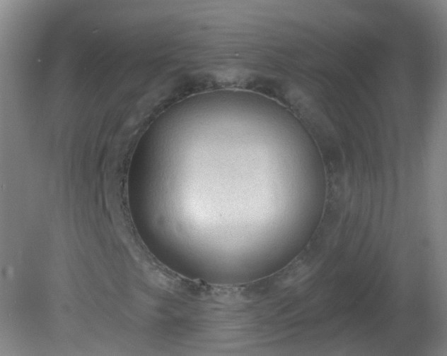 X0000081381249200701182156