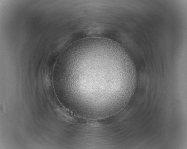 X0000081381250200701182156