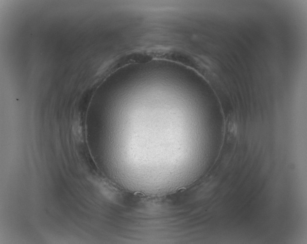 X0000081381252200701182156