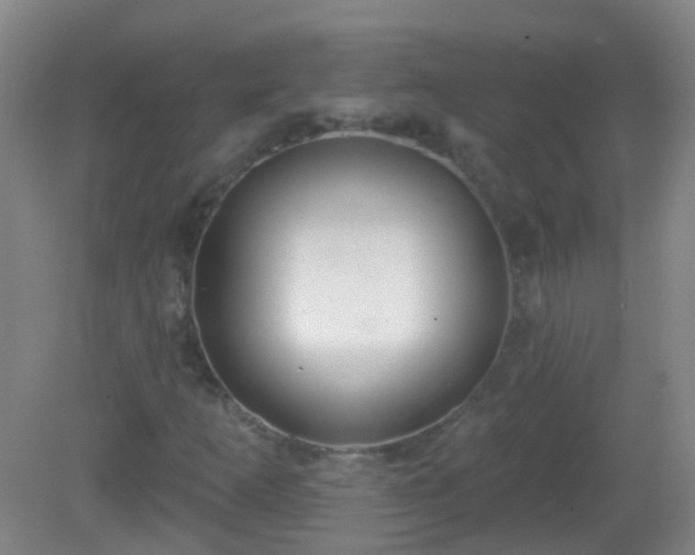 X0000081381253200701182156