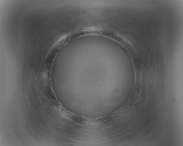 X0000081381254200701182156