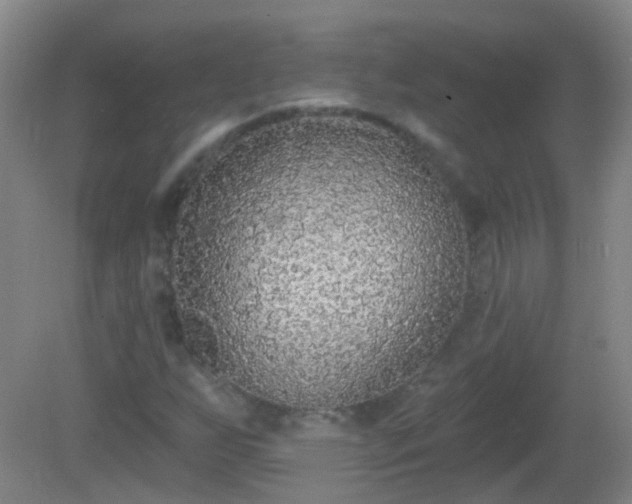 X0000081381255200701182156