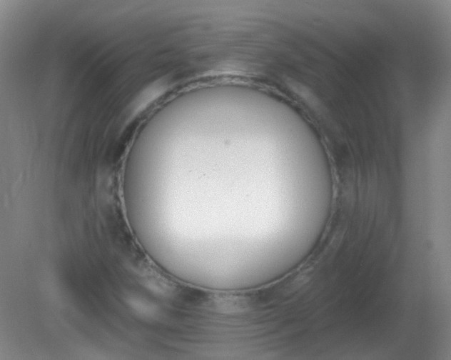 X0000081381258200701182156