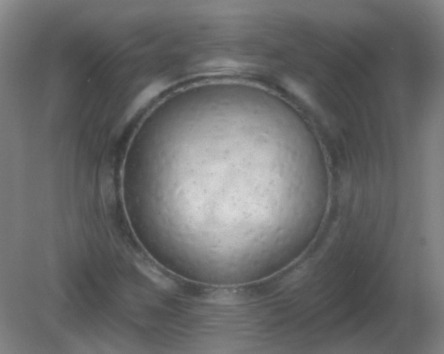 X0000081381259200701182156