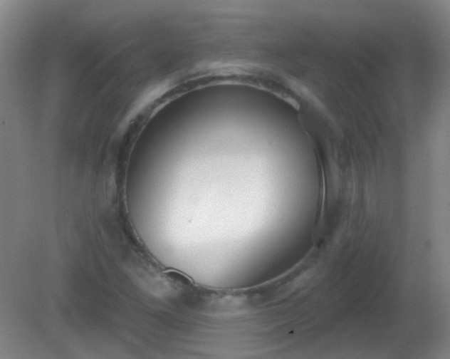 X0000081381261200701182156