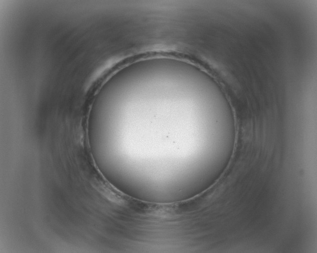 X0000081381262200701182156