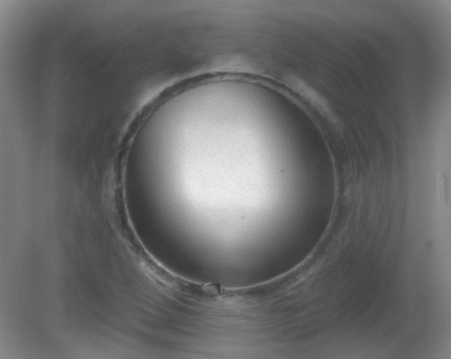 X0000081381264200701182156