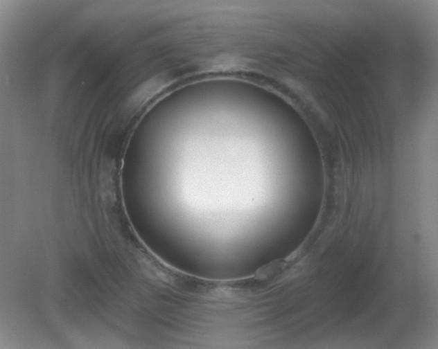 X0000081381265200701182156