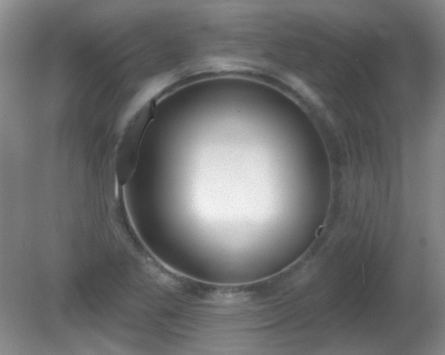 X0000081381269200701182156