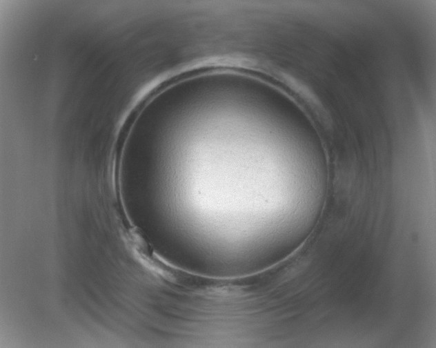 X0000081381272200701182156