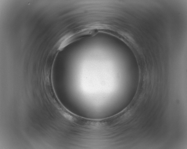 X0000081381273200701182156