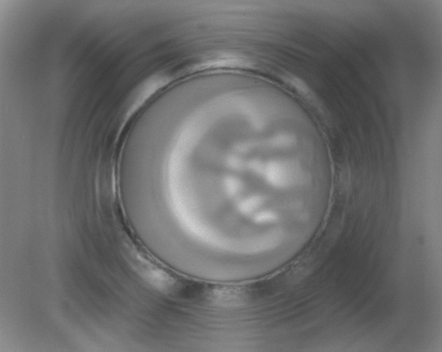X0000081381274200701182156