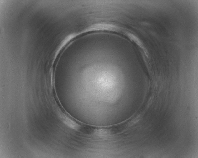 X0000081381275200701182156