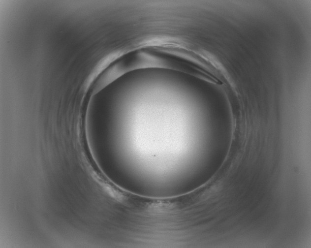 X0000081381277200701182156