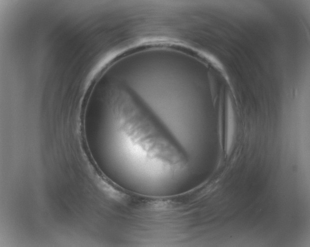 X0000081381279200701182156
