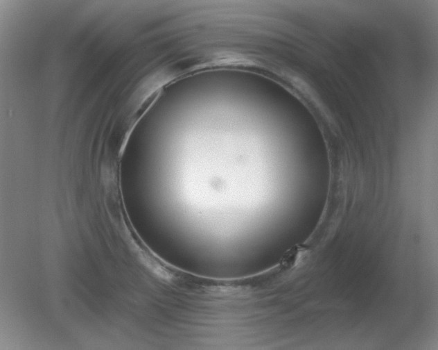 X0000081381281200701182156