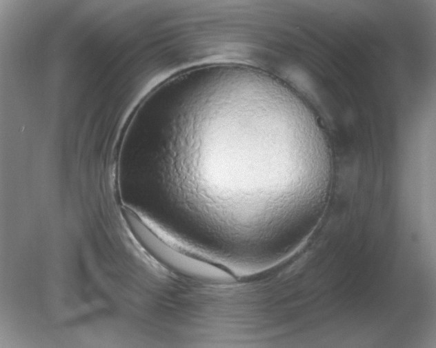 X0000081381284200701182156