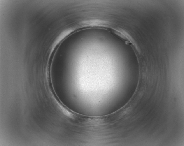 X0000081381285200701182156