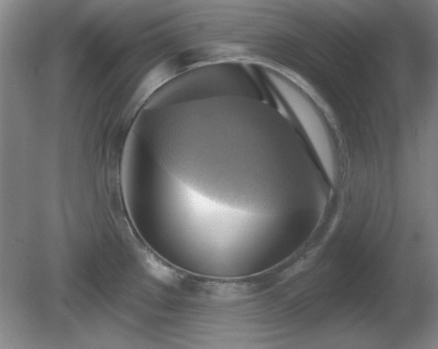 X0000081381289200701182156