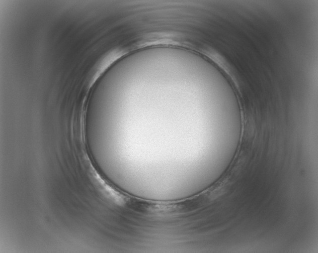 X0000081381290200701182156