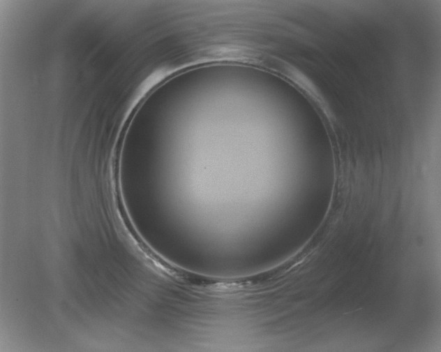 X0000081381291200701182156