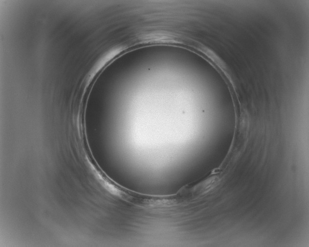 X0000081381293200701182156