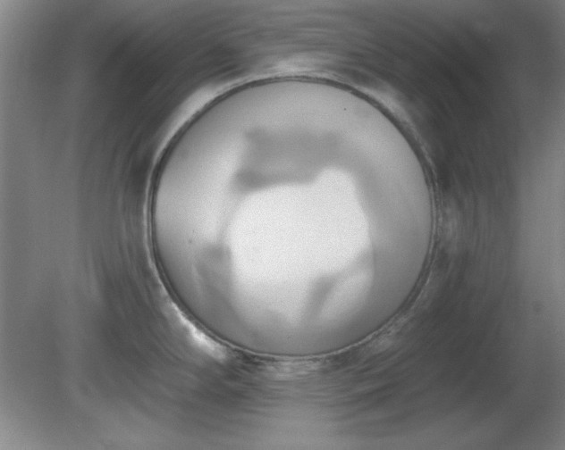 X0000081381294200701182156