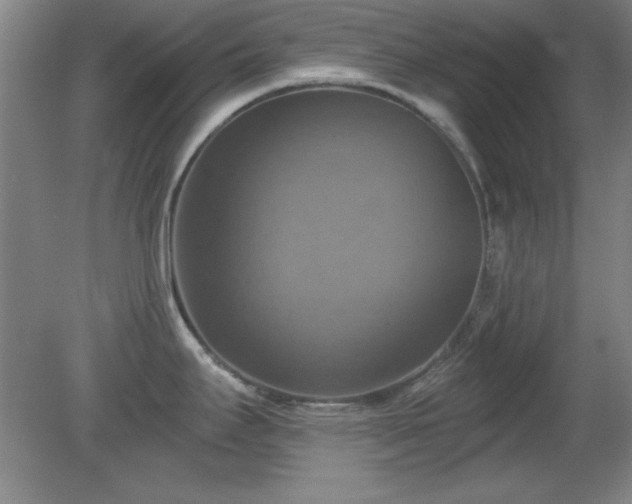 X0000081381295200701182156