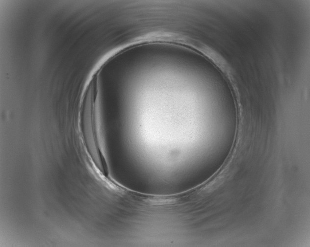 X0000081381296200701182156
