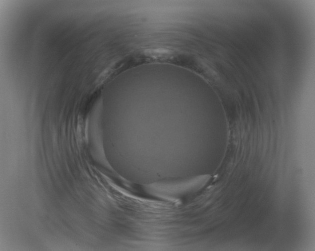 X0000081381298200701182155